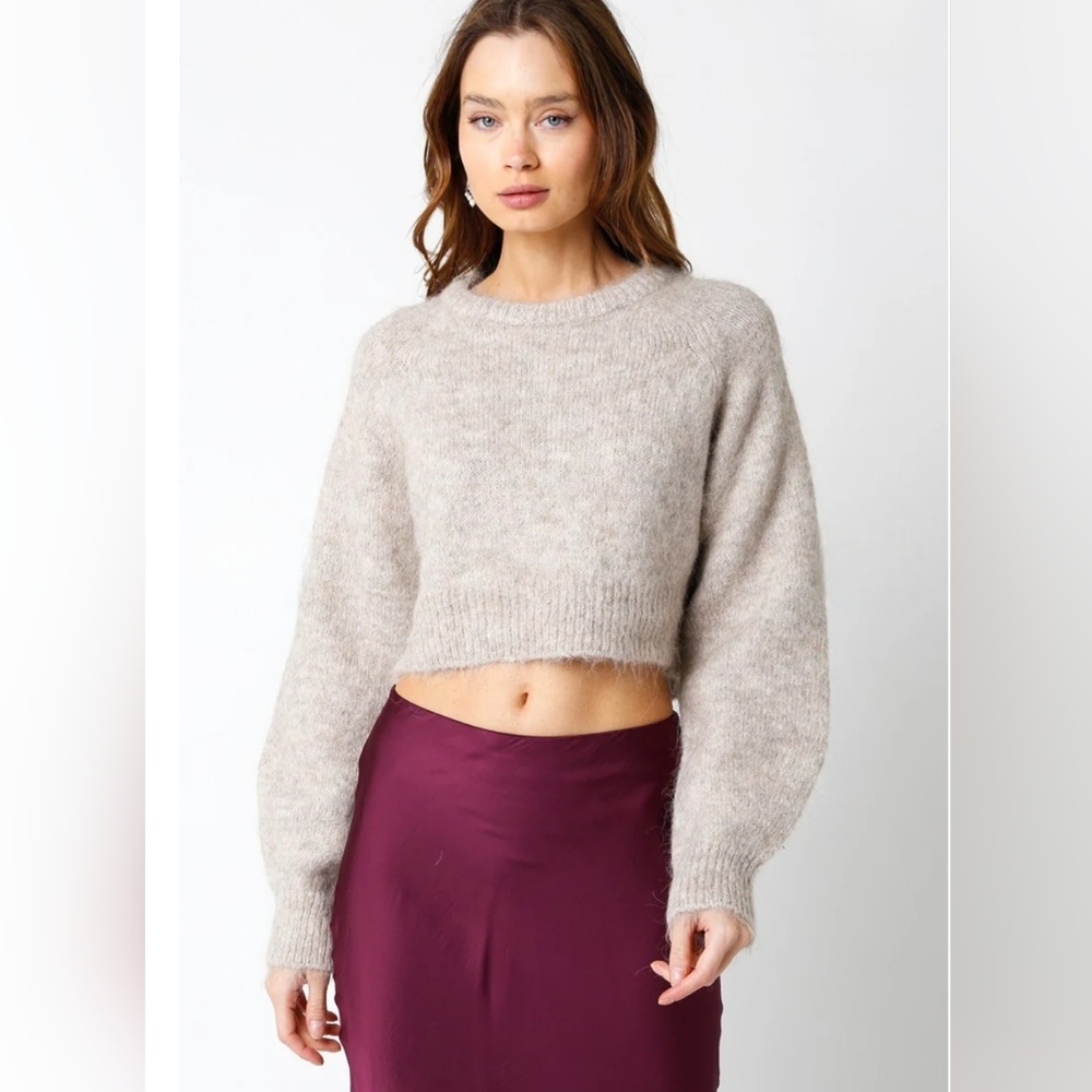 Olivaceous Clio Cropped Oatmeal Wool Blend Soft Knit Sweater Size S